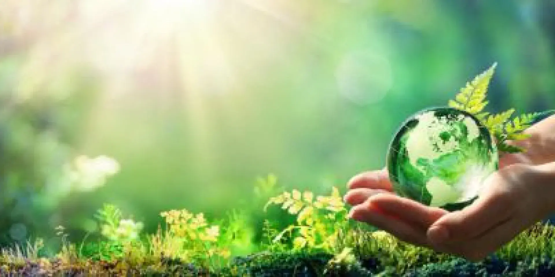 a hand holding a glass globe against a leafy background