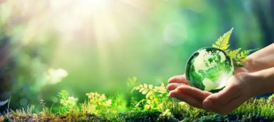 a hand holding a glass globe against a leafy background