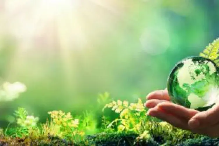 a hand holding a glass globe against a leafy background